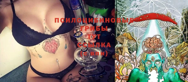 ALPHA PVP Нязепетровск
