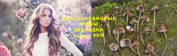 ALPHA PVP Нязепетровск