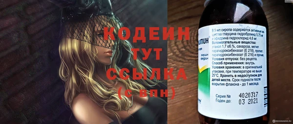 меф Няндома
